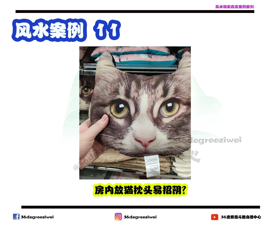 【风水真实案例 - 房内放猫枕头易招阴？】