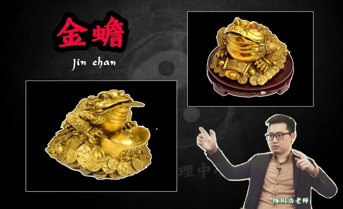 风水科普 Did you know? - 四瑞兽之二：金蟾】【金蟾分为嘴含钱和不含钱？】